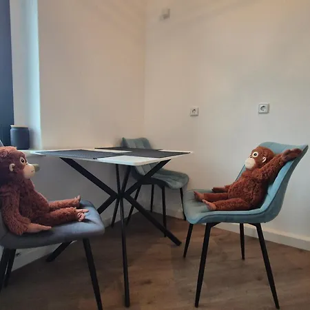 Monkey Magic Mansion 2 Bedroom Next To Tram And דירה לייפציג